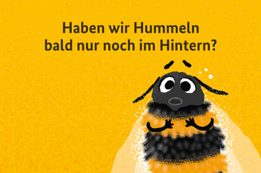 Hummel