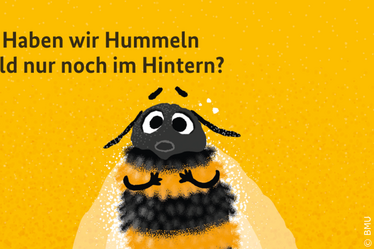 Hummel
